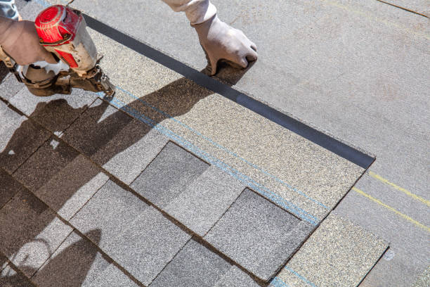 Best Metal Roofing Contractor  in Globe, AZ